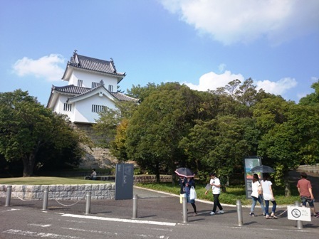IMG_20160813_151548.jpg