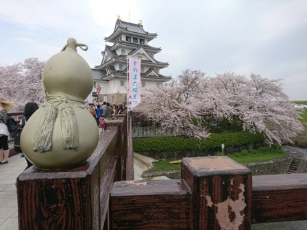 IMG_20170409_122254.jpg
