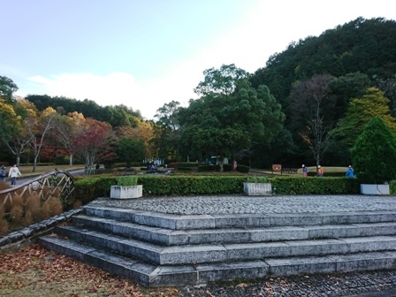 IMG_20171112_154036.jpg