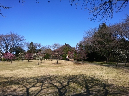 IMG_20180317_140515.jpg
