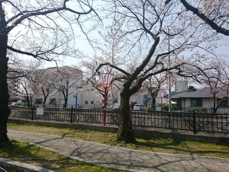 IMG_20180325_123323.jpg