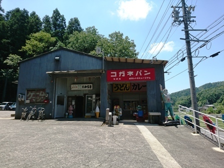 IMG_20180602_110333.jpg