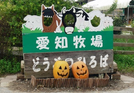 P1640400どうぶつひろば.jpg